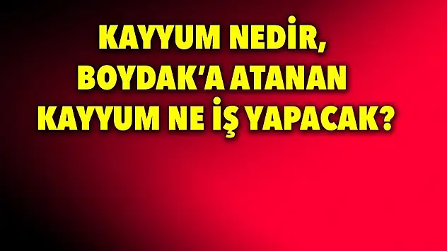 Kayyum nedir, Boydak Holding'e atanan kayyum ne iş yapacak?