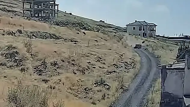 Kaza anı saniye saniye görüntülendi! 3'ü çocuk 5 kişi yaralandı