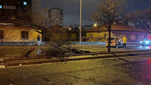 Kayseri'de can pazarı: Ağaç ikiye bölündü