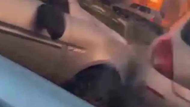 Çocukların çığlıklarına rağmen kavga ettiler