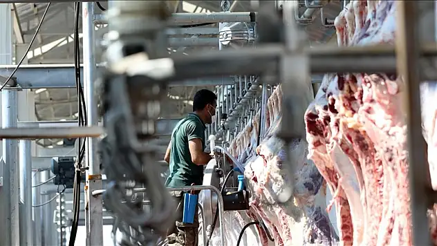 Kesimhanelerde alışılmış düzen sona eriyor: Kesimler artık böyle olacak