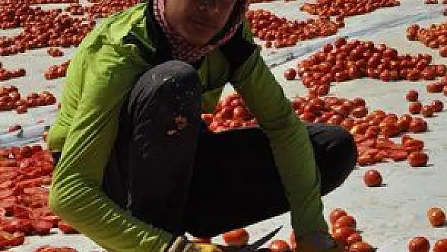 KİRALIK İNSAN PAZARI