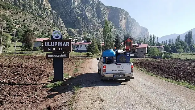 Kırsalda sayıları arttı! Belediye ekipleri seferber oldu