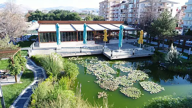 Kocasinan Belediyesi'nin o kafesindeki gözdeler