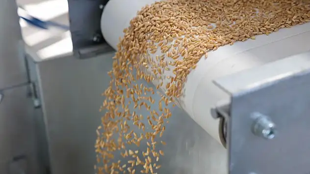 Kocasinan'da hububat için yeni dönem