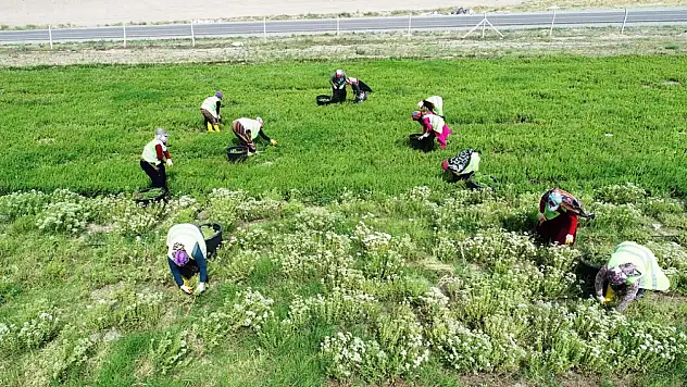 Kocasinan'da kadınlara pozitif ayrıcalık