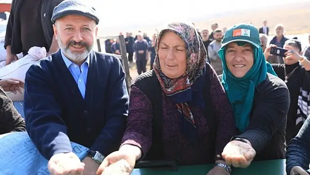 Kocasinan'da Siyez Buğdaylar Hasada Hazırlanıyor