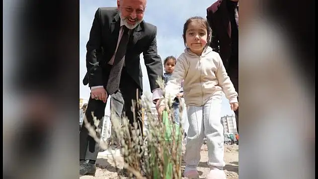 Kocasinan, lavanta bahçesine dönüşüyor