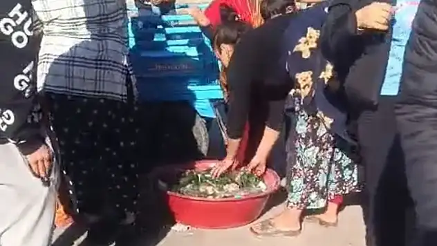 Komşular taş ve sopalar ile birbirine saldırdı!