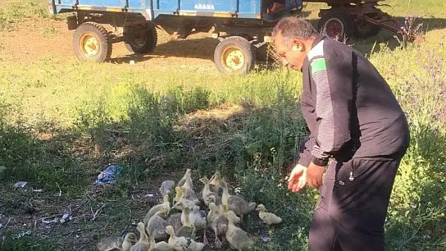 Komşunun Kazları, Başkan'a neyi hatırlattı?