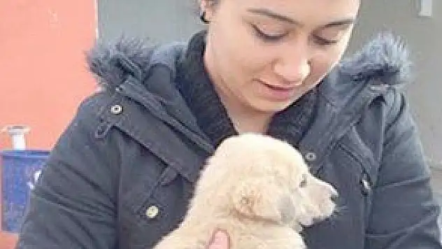 66 KÖPEK SAHİPLENDİRİLDİ