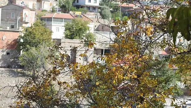 Koramaz'da renk cümbüşü