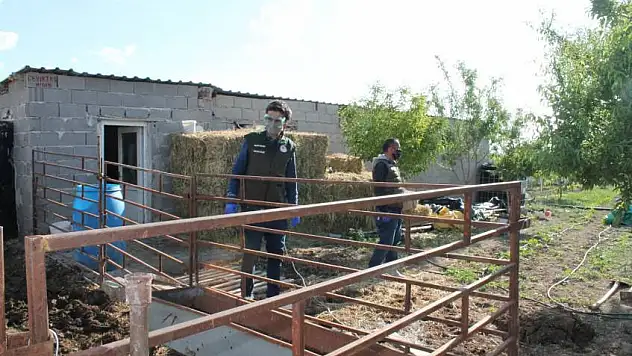 Koronaya yakalanan üreticinin gözü arkada kalmıyor