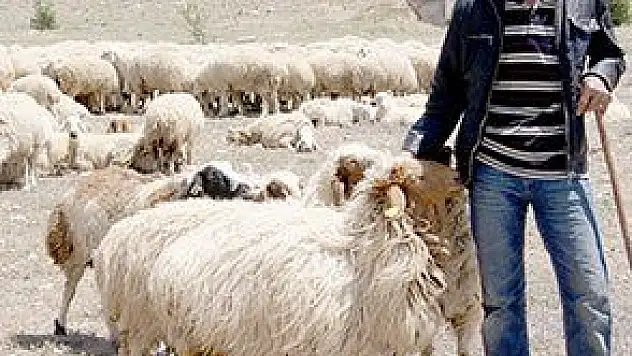 KÖYDE HAYVAN KALMADI MERALAR BOŞ DURUYOR!