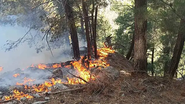 Adana Kozan'da orman yangını çıktı