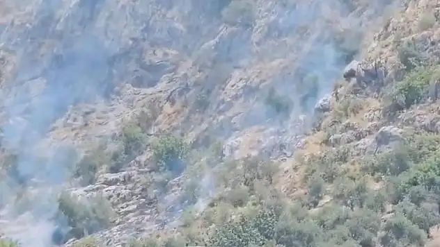 Kozan Kalesi eteklerinde yangın!