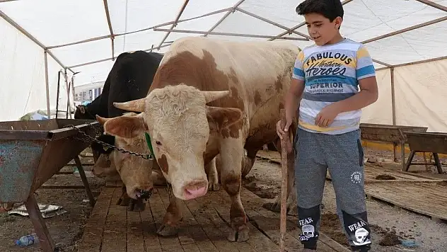 Kurban satıcıları hafta sonunu bekliyor
