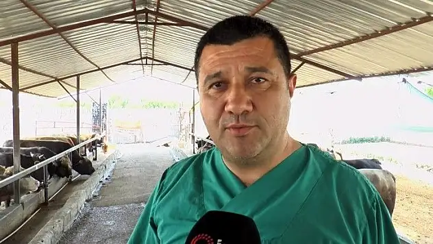 Kurbanlık alacaklar dikkat!