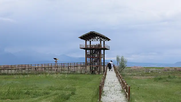 Kuş cennetinde kuraklık bitti, yaşam başladı