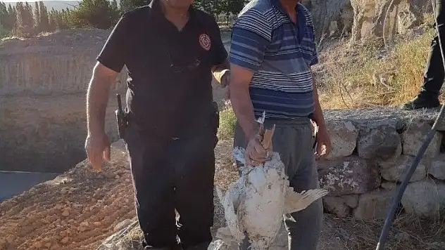 Kuyuya düşen kaz itfaiye ekiplerince kurtarıldı