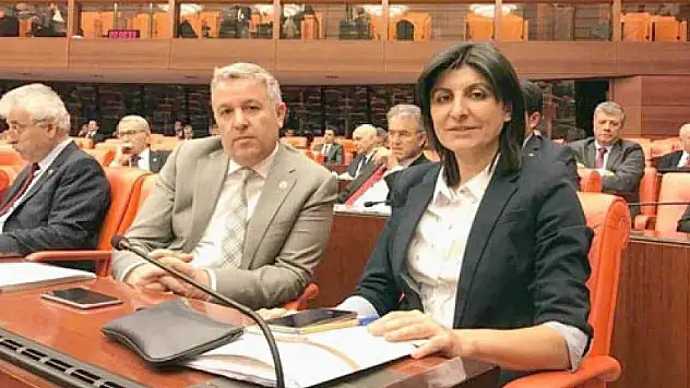 Arık: 'Kuzuyu, kurda emanet etmişiz'