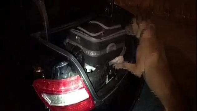 Lüks otomobilde 10 kilo esrar ele geçirildi