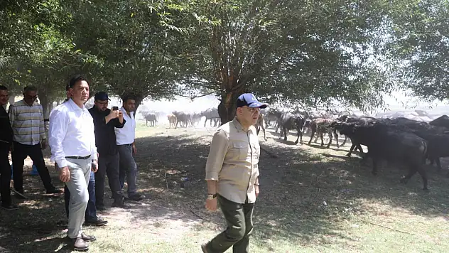 'Made in Kayseri' etiketi ile hem iç pazar hem ihracat hedefleniyor