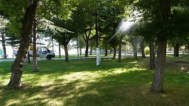 Melikgazi Belediyesi larva ve haşeralarla mücadelede!