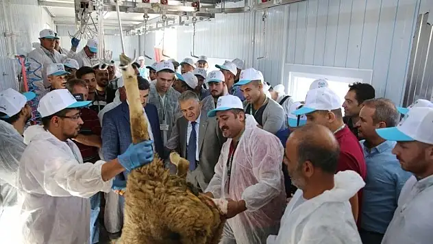 Melikgazi Belediyesi'nden Kurban Kesim Kursu

