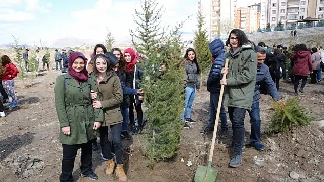Melikgazi Belediyesinde 10.000 çam fidanı toprakla buluşacak