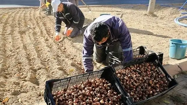 Melikgazi Belediyesinde parklar yeşilleniyor
