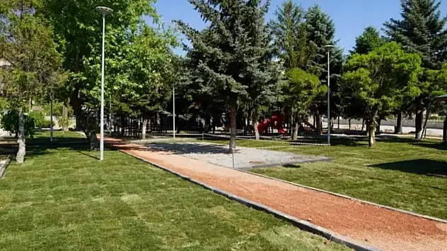 Melikgazi'de tam 350 tane var: Görenlerin gözleri kamaşıyor!
