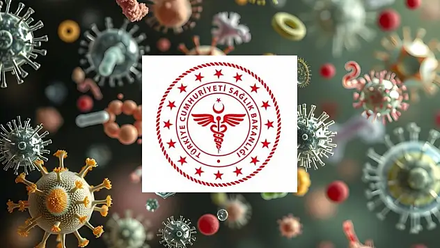 Merakla beklenen Hantavirüs açıklaması geldi!