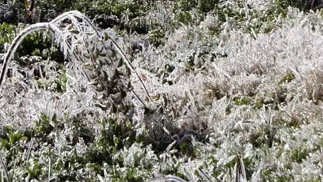 Meteoroloji Bölge Müdürlüğü'nden Zirai Don Uyarısı