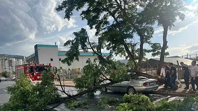 Meteoroloji'den Kayseri için 'sarı' alarm! Fırtına ve rüzgar uyarısı yapıldı