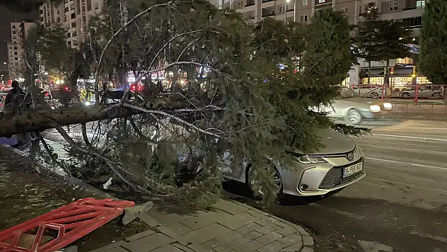 Meteoroloji şiddetli rüzgar ve fırtınaya karşı uyardı