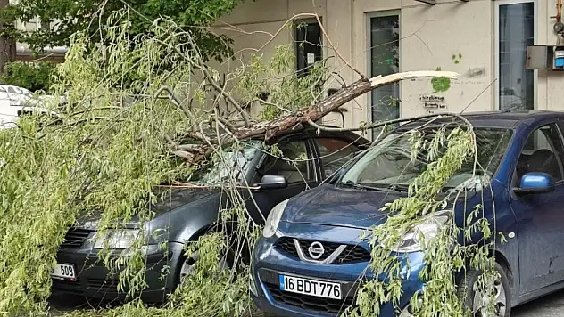 Meteoroloji uyardı: Kuvvetli rüzgara dikkat