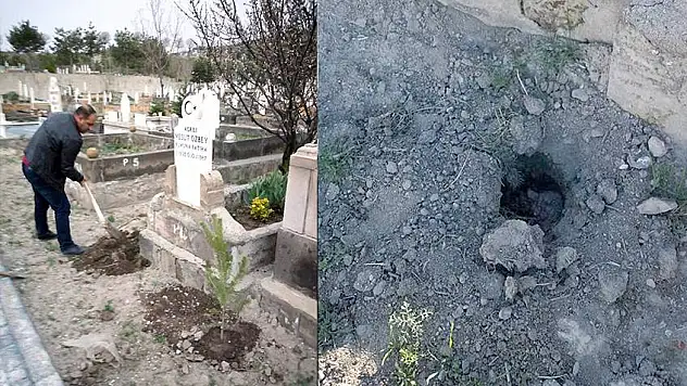 Mezar başına dikilen fidanı çaldılar