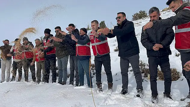 MHP Pınarbaşı, yaban hayatı unutmadı!