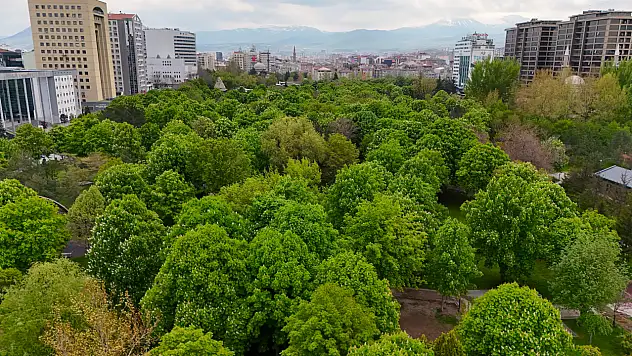 Mimarsinan Parkı'nda büyük dönüşüm: Işıl ışıl olacak
