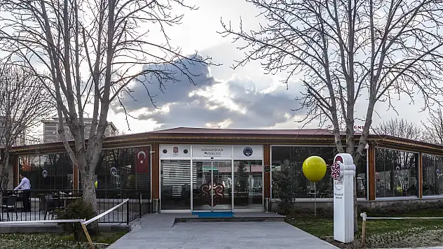 Mimarsinan Pidecisi'nin yeni yüzü