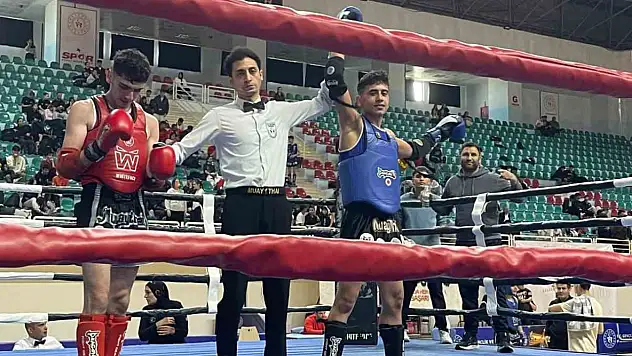 Diyarbakır'dan altın, gümüş madalyalarla döndüler