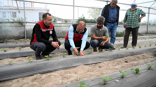 Müdür bu kez aile işletmesini ziyaret etti