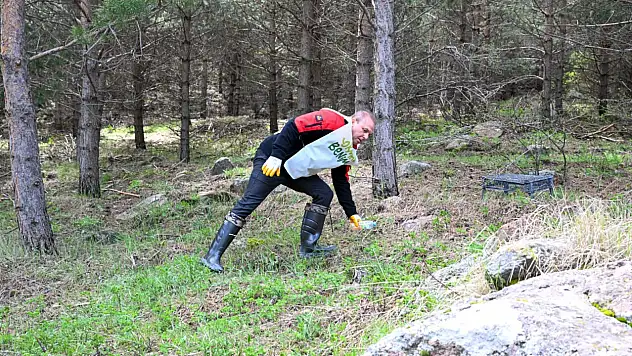 Müdür Saklav ormanda çöp topladı