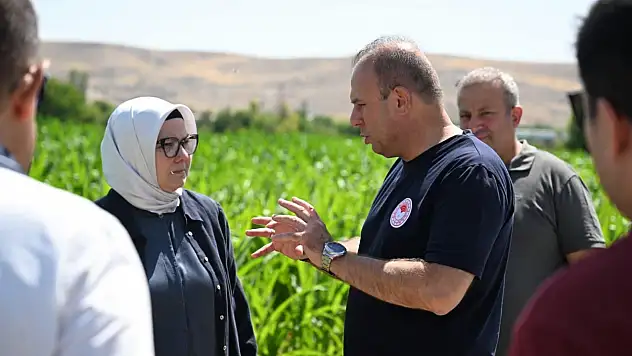 Müdür Saklav, Vekil Böhürler'e bakın ne anlattı?