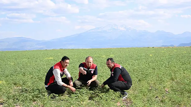 Müdür ve ekibi sahada bakın neyi inceledi!