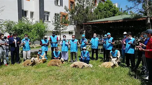Müftülük Şükür kurbanı kesti