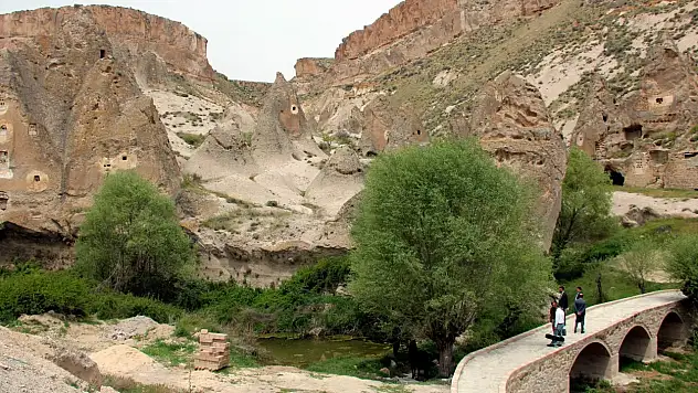 Muhtardan sevindiren haber: Sayı arttı