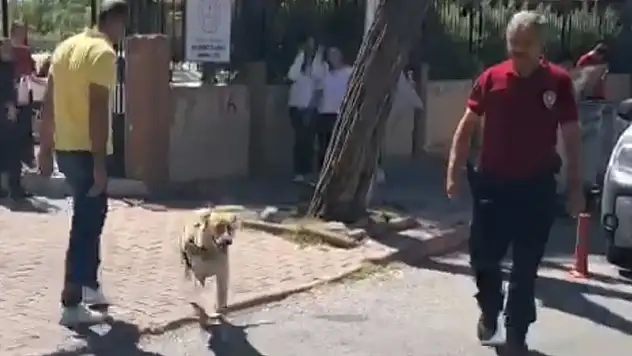 Narko - Okul Uygulaması büyük beğeni topladı