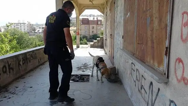 Narkotik 272 şahsı sorguladı